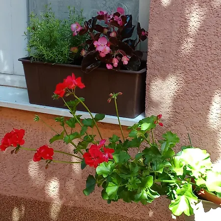 Tihana Apartment Crikvenica